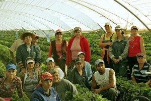 Celebran  42 años del Programa de Trabajadores Agrícolas Temporales México-Canadá 