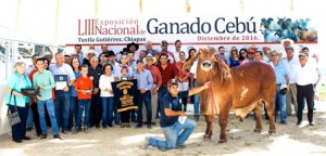  En representación del secretario José Calzada Rovirosa,  el coordinador general de Ganadería entregó los premios 2016 a lo mejor de la ganadería cebú en México.