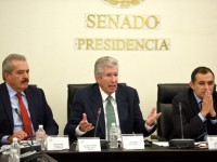 Secretario Gerardo Ruiz Esparza